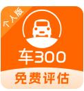 车300二手车