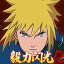 毅力火影虎皮重置