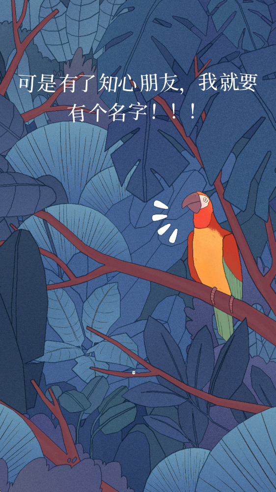 孤独的鸟儿正版