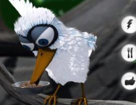 会说话的拉里鸟原版