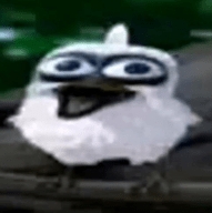 会说话的拉里鸟中文版