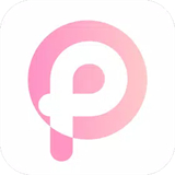 pp浏览器下载器