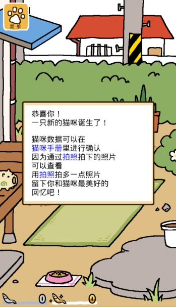 猫咪后院2最新版