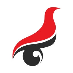 学信网app官方安卓版