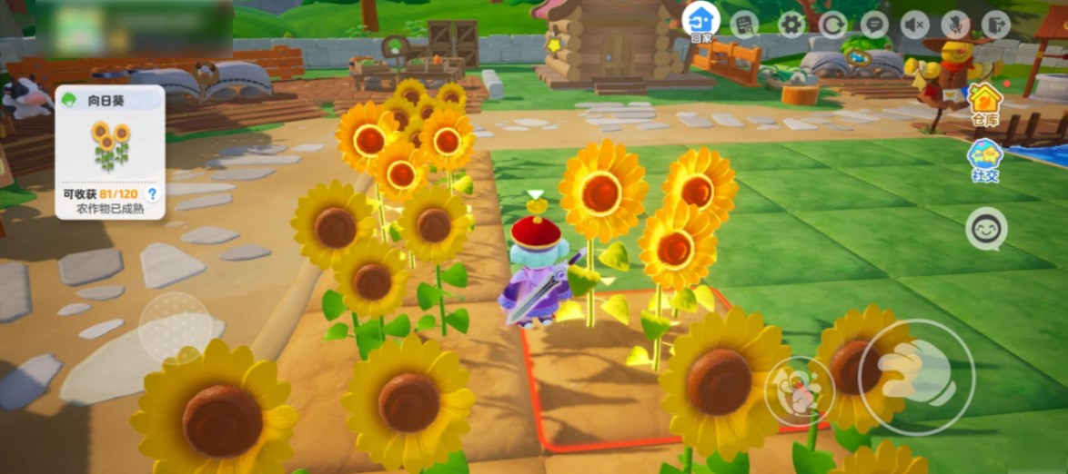 元梦之星体验服