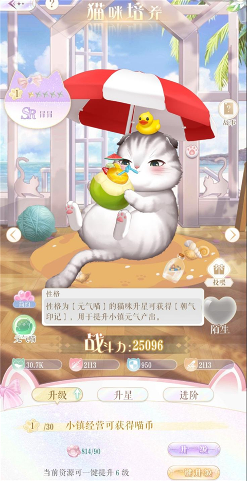 甜甜的你手游官方版猫咪养成攻略1