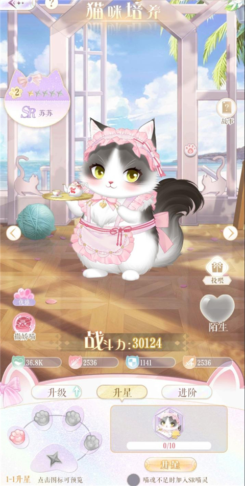 甜甜的你手游官方版猫咪养成攻略2