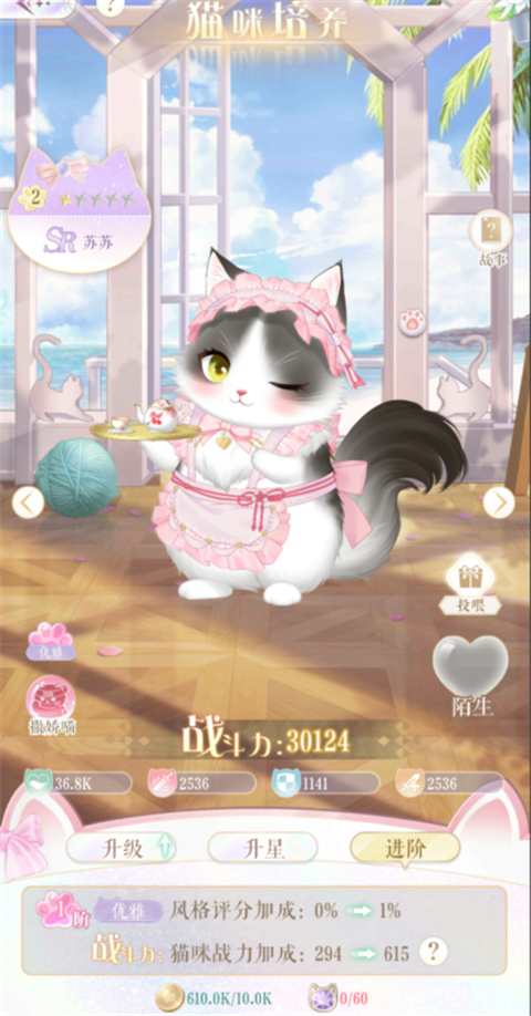 甜甜的你手游官方版猫咪养成攻略3