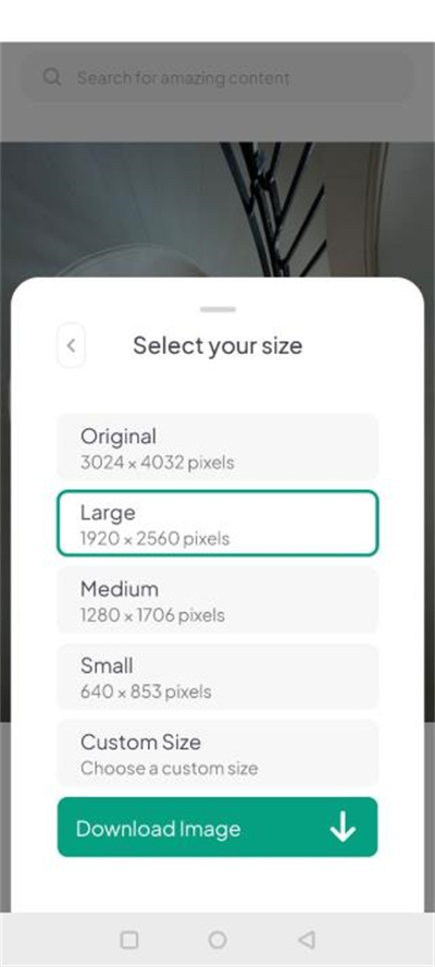 pexels免费素材网