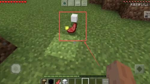 我的世界惊变一百天