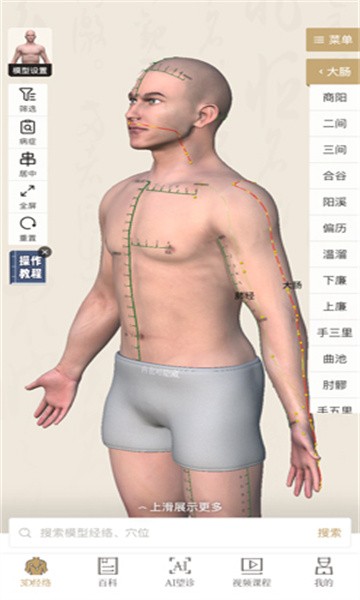 中济经络穴位软件最新版