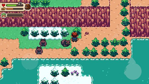 新手保姆级攻略10