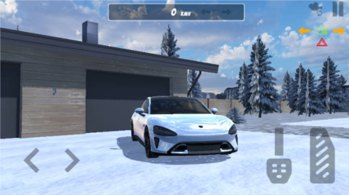 国产车模拟器图片5