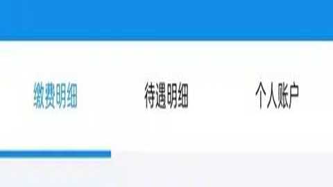 石家庄人社公共服务平台 1.2.33 安卓版