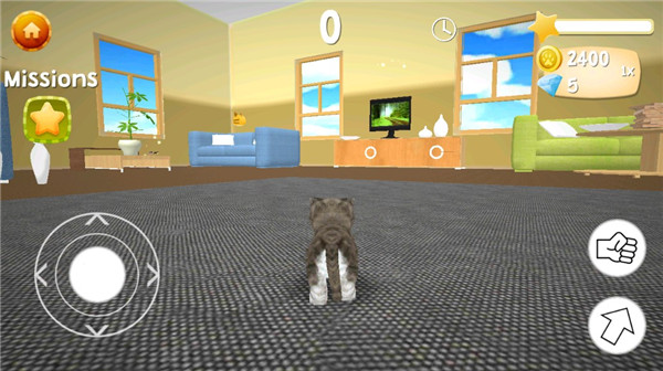 猫咪模拟器中文版游戏攻略2