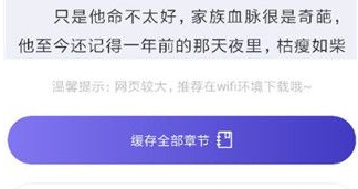 饭团探书旧版本