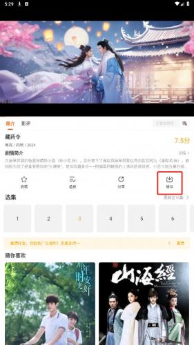 风筝影评官方正版