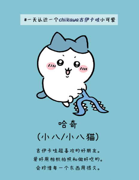 口袋吉伊卡哇日服角色介绍3