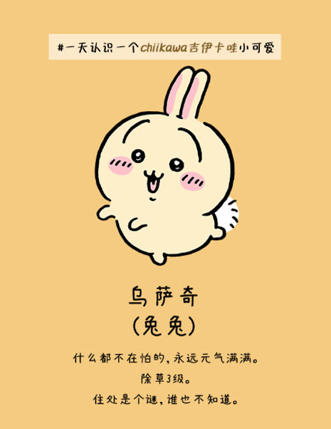 口袋吉伊卡哇日服角色介绍2