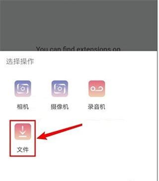 KiwiBrowser浏览器图片6
