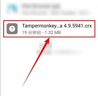 KiwiBrowser浏览器图片9