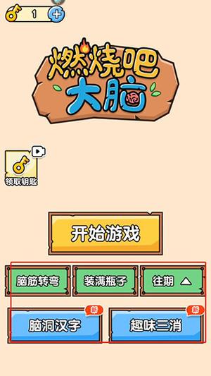 燃烧吧大脑游戏截图3