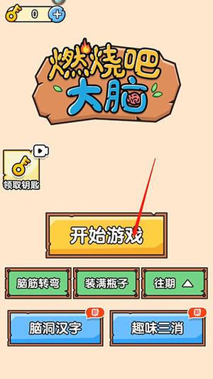 燃烧吧大脑游戏截图4