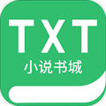 TXT全本小说