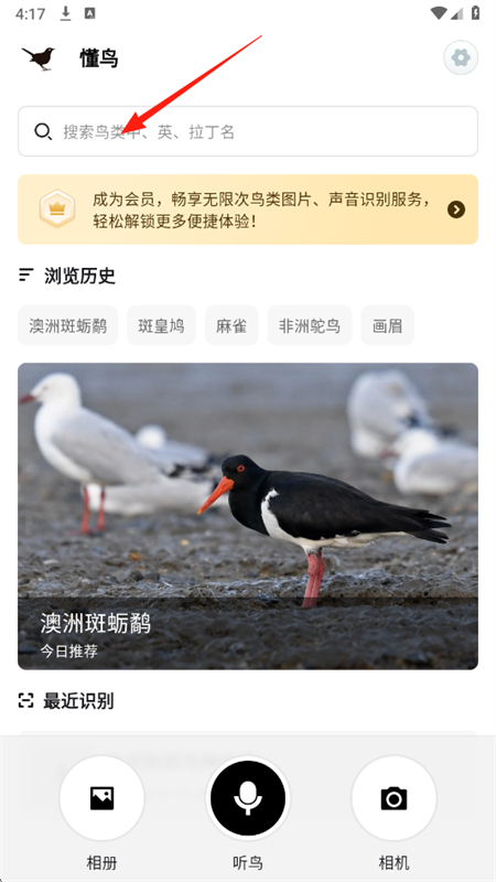 懂鸟app官方版手机版