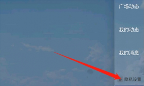 和平精英单机版动态隐私设置攻略 2