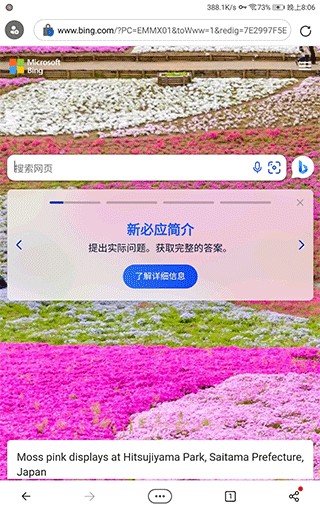 必应bing下载
