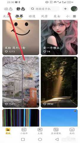 元气桌面壁纸永久vip破解版 3.54.4339 安卓版