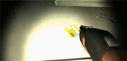 标本零虫虫汉化版联机版图片19